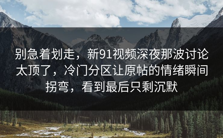 别急着划走，新91视频深夜那波讨论太顶了，冷门分区让原帖的情绪瞬间拐弯，看到最后只剩沉默